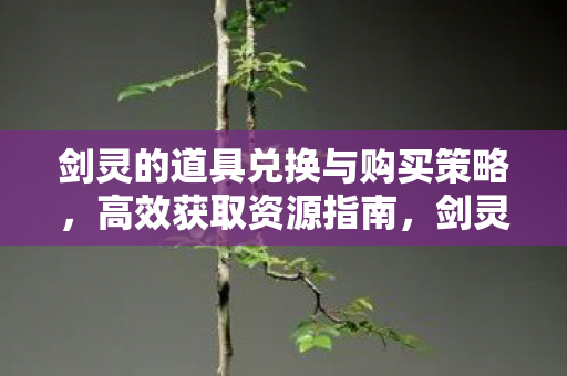 剑灵的道具兑换与购买策略,高效获取资源指南,剑灵的道具兑换与购买策略,高效获取资源指南 剑灵的道具兑换与购买策略,高效获取资源指南,剑灵的道具兑换与购买策略,高效获取资源指南