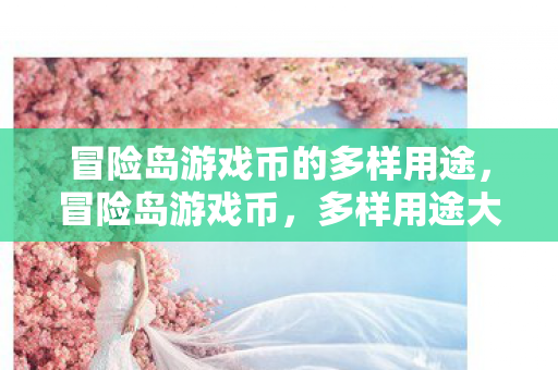 冒险岛游戏币的多样用途，冒险岛游戏币，多样用途大揭秘