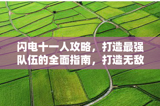闪电十一人攻略,打造最强队伍的全面指南,打造无敌战队,闪电十一人全面攻略 闪电十一人攻略,打造最强队伍的全面指南,打造无敌战队,闪电十一人全面攻略