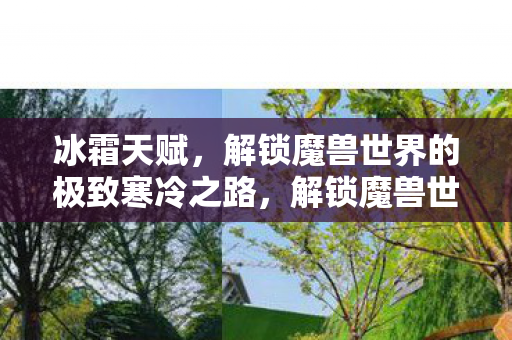 冰霜天赋，解锁魔兽世界的极致寒冷之路，解锁魔兽世界的极致寒冷之路，冰霜天赋全解析