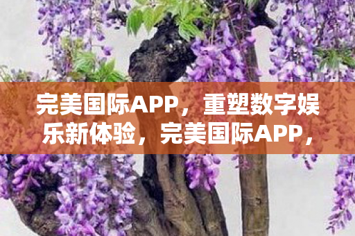 完美国际APP，重塑数字娱乐新体验，完美国际APP，重塑数字娱乐新体验