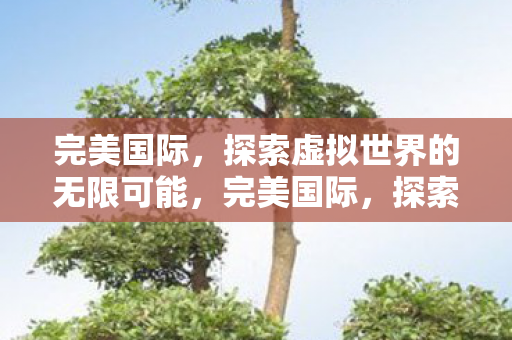 探索虚拟世界的无限可能图片