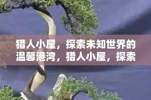 猎人小屋，探索未知世界的温馨港湾，猎人小屋，探索未知世界的温馨港湾