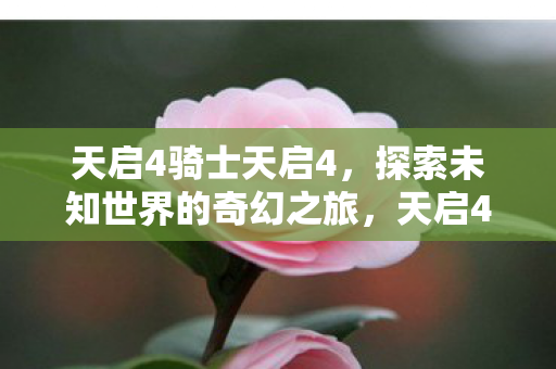 天启4骑士天启4，探索未知世界的奇幻之旅，天启4骑士，探索未知世界的奇幻之旅