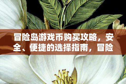 冒险岛游戏币购买攻略，安全、便捷的选择指南，冒险岛游戏币购买全攻略，安全、便捷的选择指南