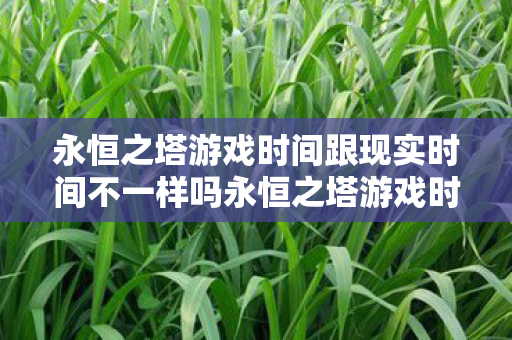 永恒之塔游戏时间跟现实时间不一样吗永恒之塔游戏时间与现实时间的差异图片