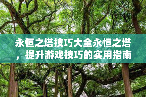 永恒之塔技巧大全永恒之塔，提升游戏技巧的实用指南，永恒之塔技巧大全，提升游戏技巧的实用指南