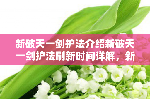 新破天一剑护法介绍新破天一剑护法刷新时间详解，新破天一剑护法刷新时间及护法介绍