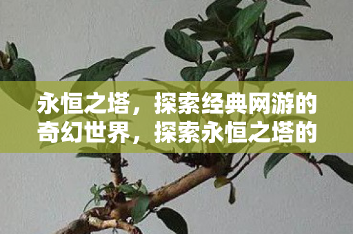 探索经典网游的奇幻世界图片