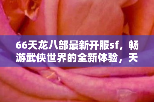 66天龙八部最新开服sf,畅游武侠世界的全新体验,天龙八部全新私服开启,畅游武侠世界的极致体验 66天龙八部最新开服sf,畅游武侠世界的全新体验,天龙八部全新私服开启,畅游武侠世界的极致体验