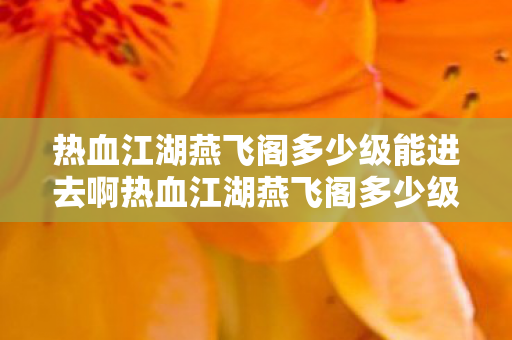 热血江湖燕飞阁多少级能进去啊热血江湖燕飞阁多少级能进去图片