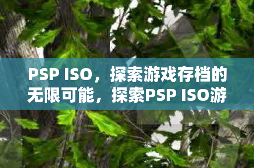 PSP ISO，探索游戏存档的无限可能，探索PSP ISO游戏存档的无限可能