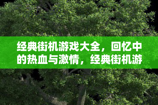 经典街机游戏大全，回忆中的热血与激情，经典街机游戏大全，重温热血与激情的怀旧之旅