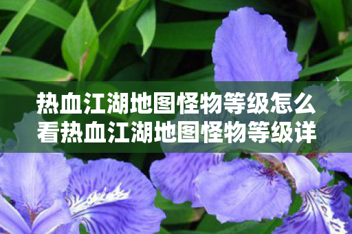 热血江湖地图怪物等级怎么看热血江湖地图怪物等级详解,挑战与冒险的旅程,热血江湖地图怪物等级详解,挑战与冒险的旅程 热血江湖地图怪物等级怎么看热血江湖地图怪物等级详解,挑战与冒险的旅程,热血江湖地图怪物等级详解,挑战与冒险的旅程