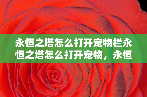 永恒之塔怎么打开宠物栏永恒之塔怎么打开宠物图片