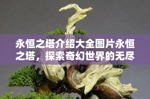 永恒之塔介绍大全图片永恒之塔图片