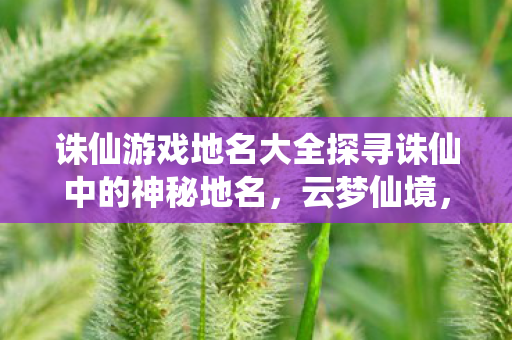 诛仙游戏地名大全探寻诛仙中的神秘地名，云梦仙境，探寻诛仙中的神秘地名，云梦仙境