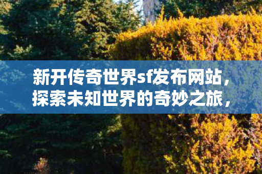 新开传奇世界sf发布网站图片