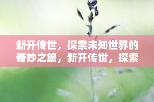 新开传世，探索未知世界的奇妙之旅，新开传世，探索未知世界的奇妙之旅