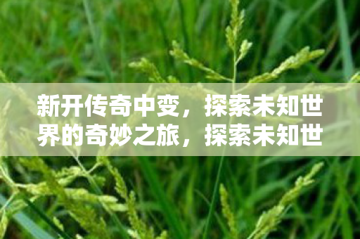 新开传奇中变，探索未知世界的奇妙之旅，探索未知世界的奇妙之旅，新开传奇中变