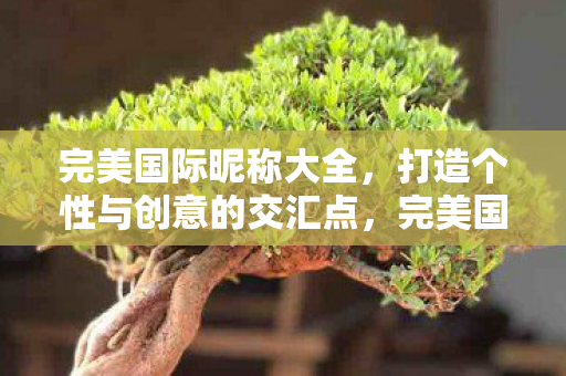 完美国际昵称大全，打造个性与创意的交汇点，完美国际昵称，个性与创意的交汇点