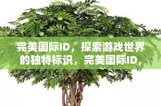 完美国际ID，探索游戏世界的独特标识，完美国际ID，解锁游戏世界的专属身份