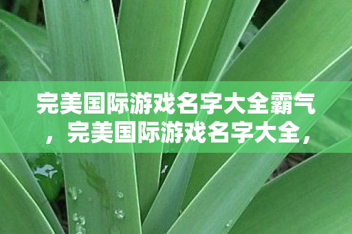 完美国际游戏名字大全霸气图片