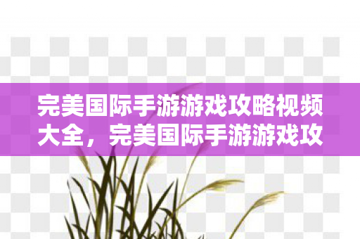 完美国际手游游戏攻略视频大全，完美国际手游游戏攻略视频全解析