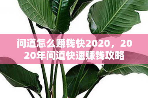 2020年问道快速赚钱攻略图片