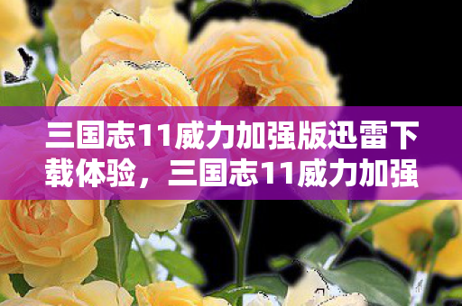 三国志11威力加强版迅雷下载体验，三国志11威力加强版迅雷下载体验，重温经典，重温历史
