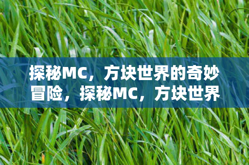 探秘MC，方块世界的奇妙冒险，探秘MC，方块世界的奇妙冒险