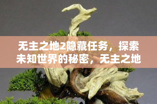 无主之地2隐藏任务,探索未知世界的秘密,无主之地2隐藏任务揭秘,探索未知世界的秘密 无主之地2隐藏任务,探索未知世界的秘密,无主之地2隐藏任务揭秘,探索未知世界的秘密