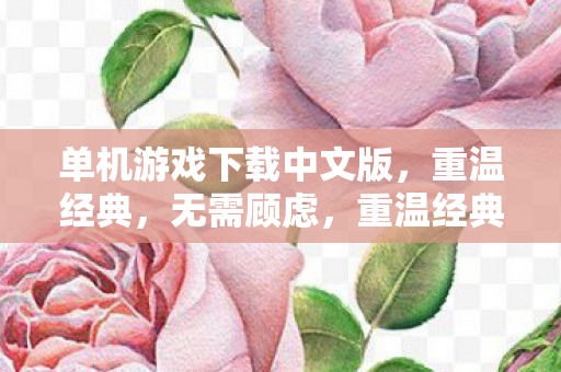 单机游戏下载中文版，重温经典，无需顾虑，重温经典单机游戏，中文版下载无顾虑