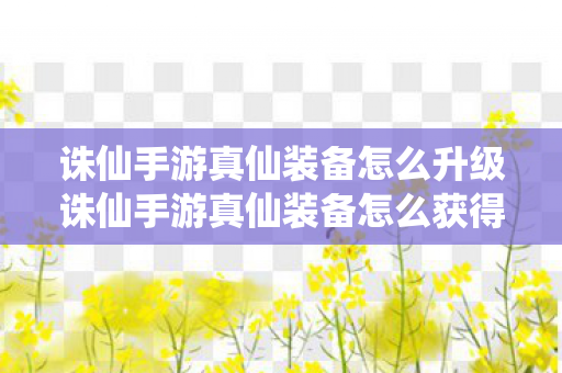 诛仙手游真仙装备怎么升级诛仙手游真仙装备怎么获得 合成经验一览图片