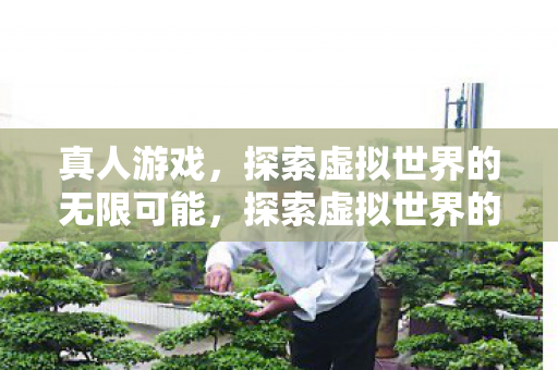 真人游戏，探索虚拟世界的无限可能，探索虚拟世界的无限可能，真人游戏