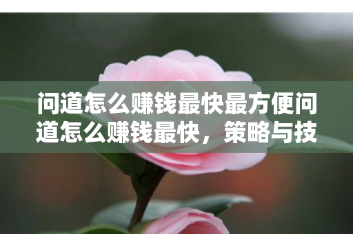 问道怎么赚钱最快最方便问道怎么赚钱最快图片