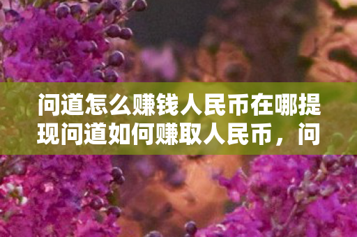 问道怎么赚钱人民币在哪提现问道如何赚取人民币图片