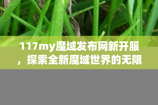 117my魔域发布网新开服，探索全新魔域世界的无限可能，117my魔域发布网新开服，探索魔域世界的无限可能