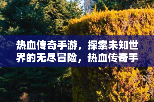 探索未知世界的无尽冒险图片