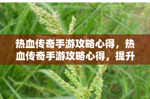 热血传奇手游攻略心得图片