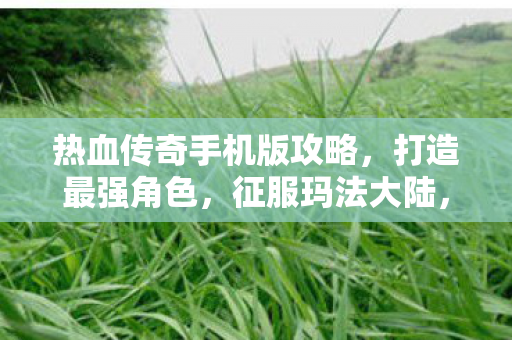 热血传奇手机版攻略图片
