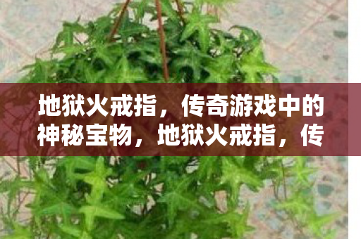 地狱火戒指，传奇游戏中的神秘宝物，地狱火戒指，传奇游戏中的神秘宝物