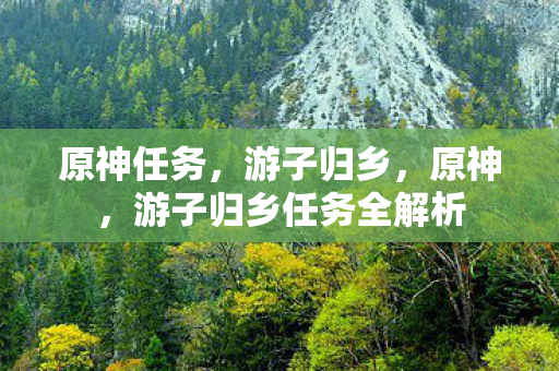 原神任务，游子归乡，原神，游子归乡任务全解析