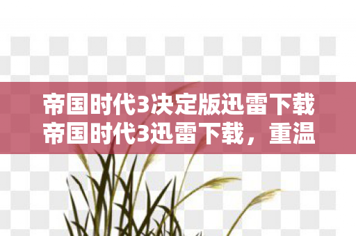 帝国时代3决定版迅雷下载帝国时代3迅雷下载，重温经典，极速体验，帝国时代3决定版迅雷极速下载重温经典