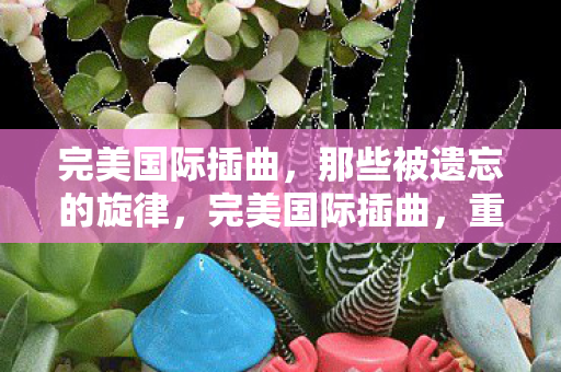 完美国际插曲，那些被遗忘的旋律，完美国际插曲，重拾那些被遗忘的旋律