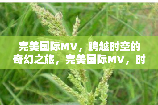 完美国际MV，跨越时空的奇幻之旅，完美国际MV，时空穿越的奇幻旅程