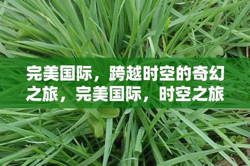 完美国际，跨越时空的奇幻之旅，完美国际，时空之旅的奇幻冒险