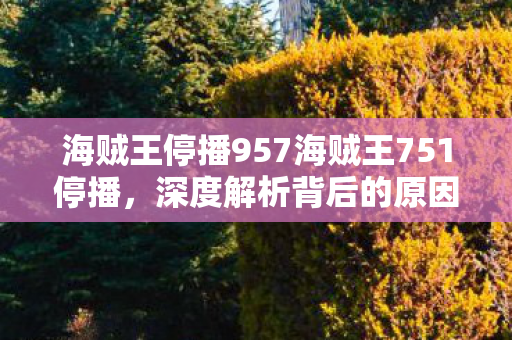 海贼王停播957海贼王751停播，深度解析背后的原因与影响，海贼王停播957集，751集也受影响，背后原因与影响深度解析