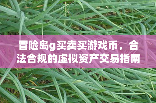 冒险岛g买卖买游戏币，合法合规的虚拟资产交易指南，冒险岛g买卖游戏币，合法合规的虚拟资产交易指南