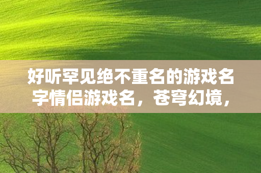 好听罕见绝不重名的游戏名字情侣游戏名，苍穹幻境，苍穹幻境，情侣专属，好听罕见的游戏名字